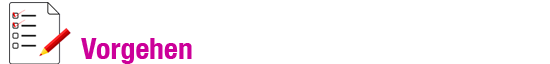 vorgehen