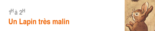 Lapin très malin