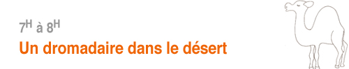 Un dromadaire dans le désert